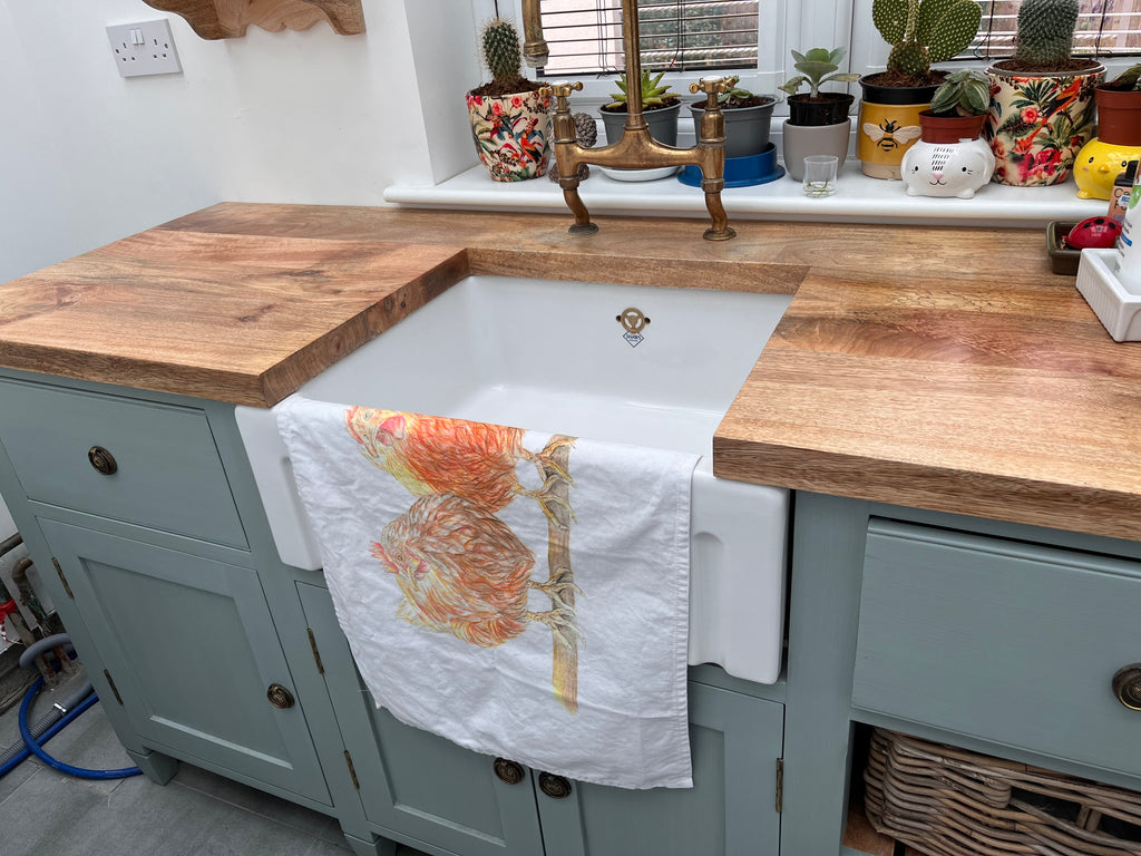 Chicken Tea Towel 3 Pack, Hens Tea Towels 3 Pack. 100 % Cotton, Country Kitchen, Country Cottage. Farmhouse Tea Towels
